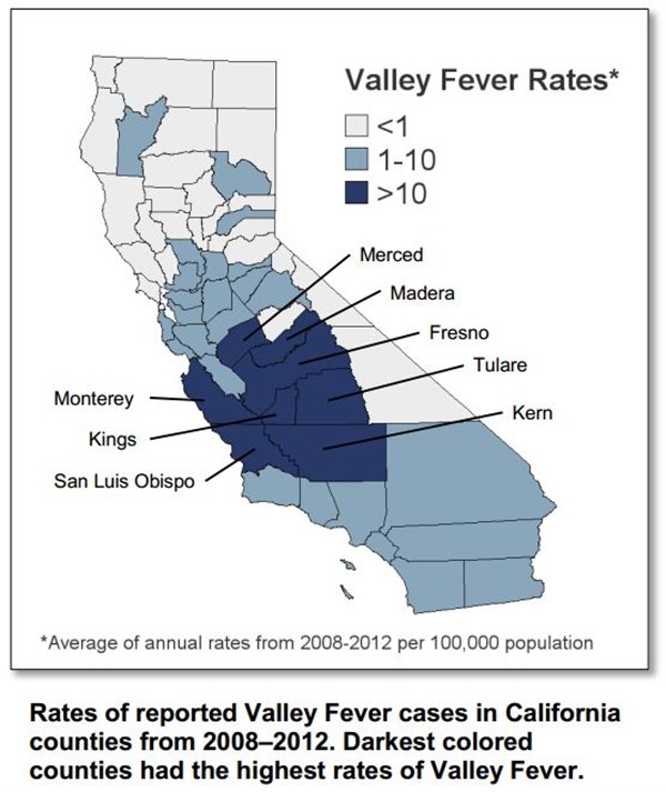 0319 Valley Fever